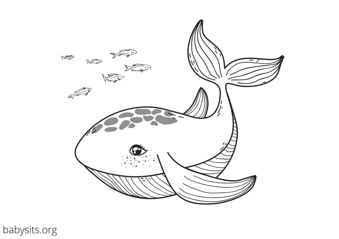 Free sea animals coloring pages