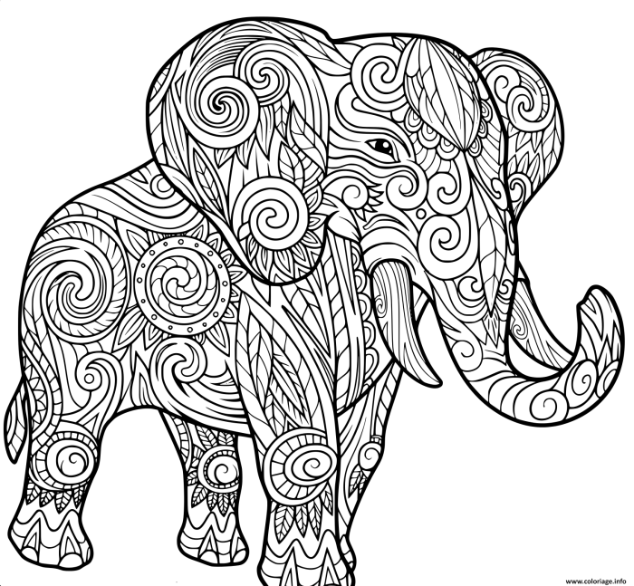 Download animal coloring book