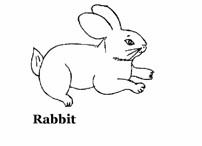 Domestic animals coloring pages