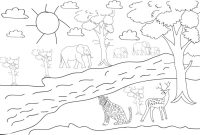 Free forest animals coloring pages preschool