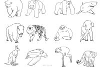 Endangered animal coloring book