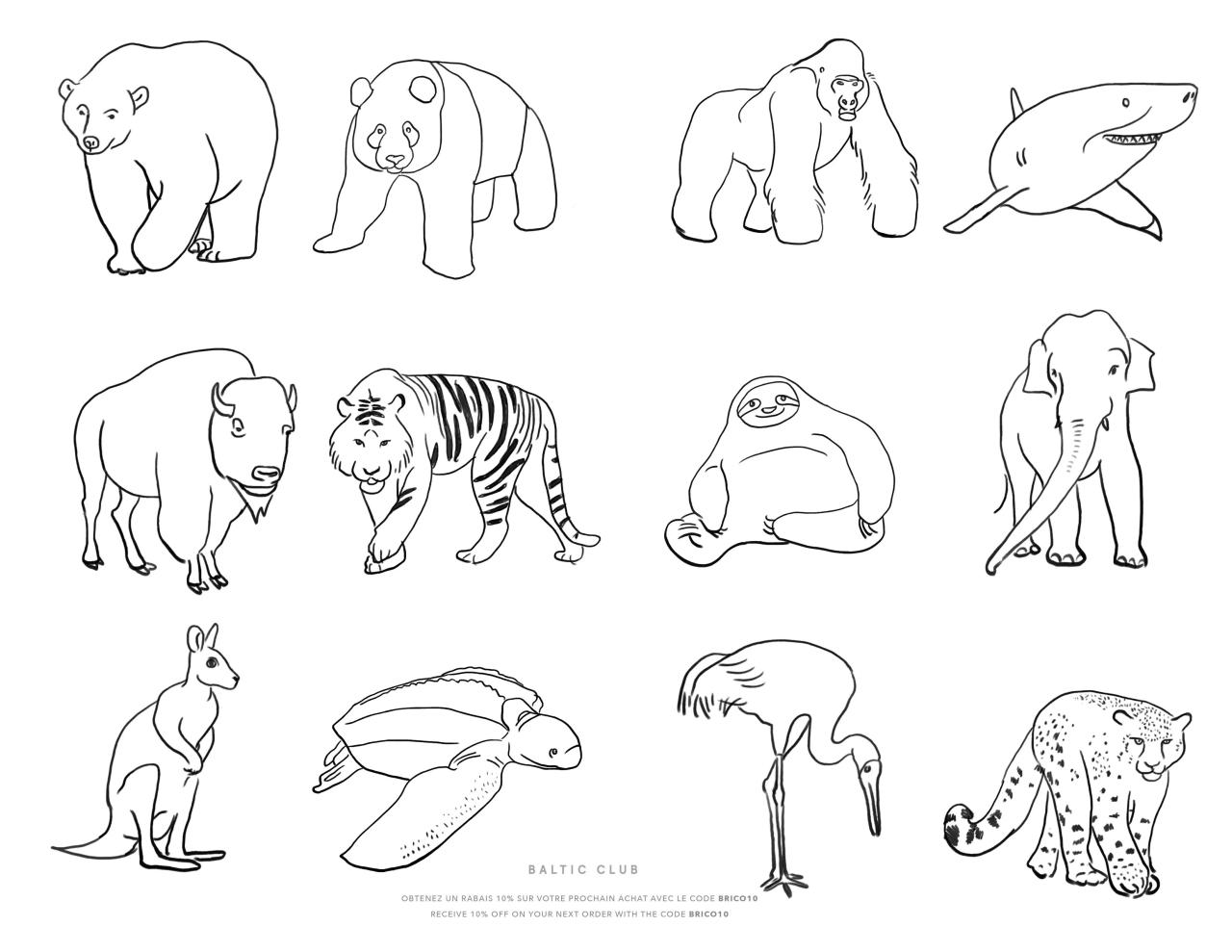 Endangered animal coloring book