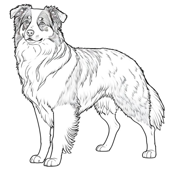 Dog coloring pages of animals