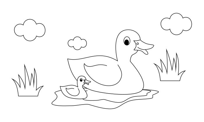 Coloring pages of baby farm animals ducks