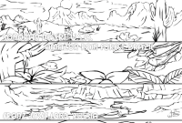 Coloring pages for animal habitats