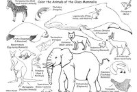 Group of animals coloring pages