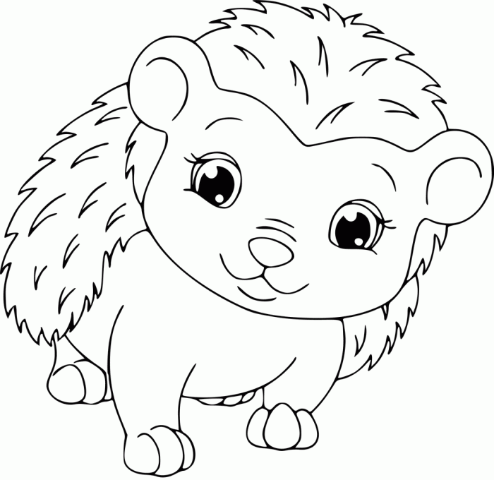 Decorative animal hedghog coloring pages