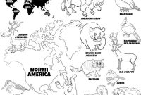 Animal coloring pages of north america