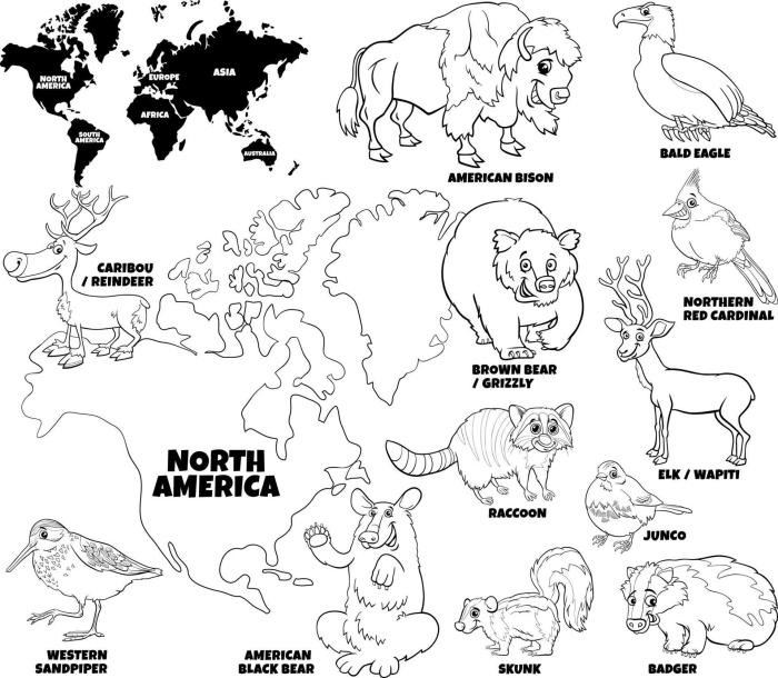 Animal coloring pages of north america