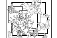 Birds and butterflies coloring book