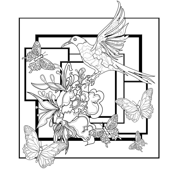 Birds and butterflies coloring book