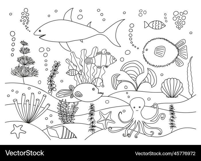 Coloring pages animal real life sea getcolorings printable color