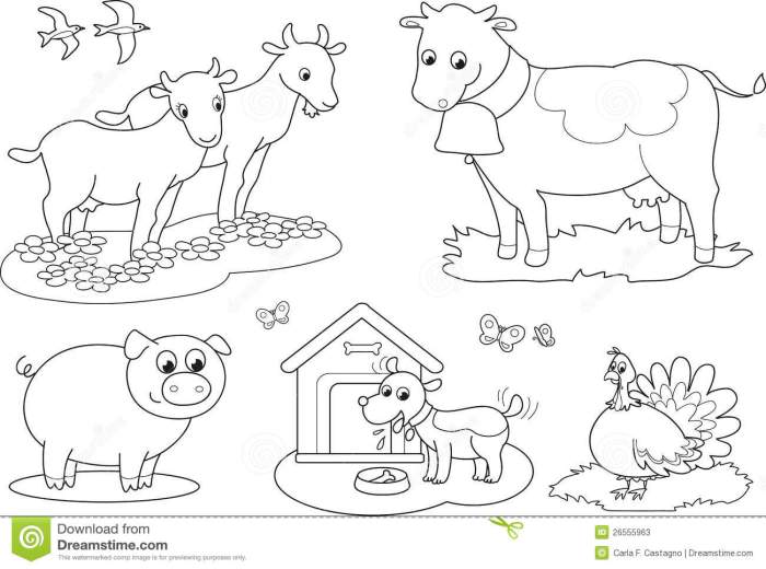 Domestic animals coloring pages