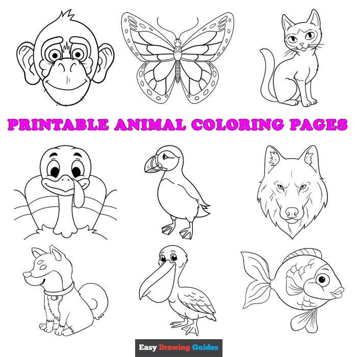 Coloring animal pages printable adults animals difficult print adult rabbit colouring sheets chameleon picture tiger complex look other