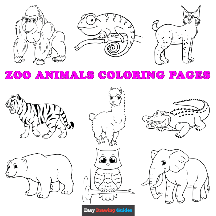 Animals around the world coloring pages