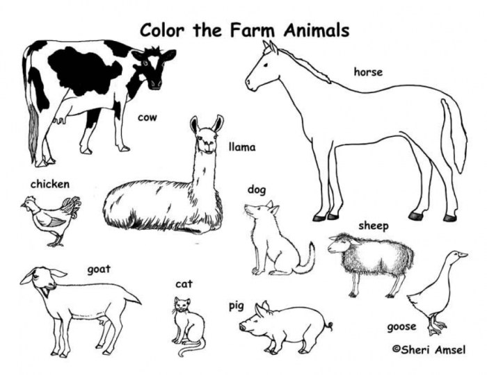 Farm with animals coloring page