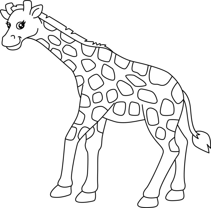 Giraffe animal coloring pages