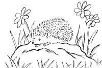 Decorative animal hedghog coloring pages