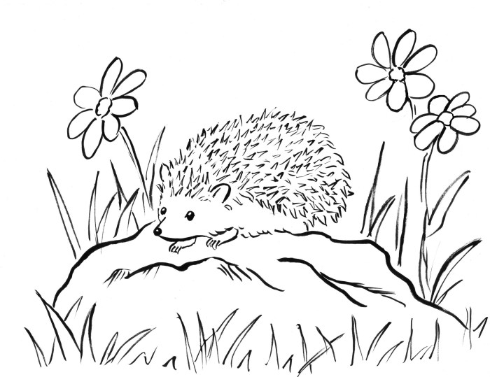 Decorative animal hedghog coloring pages