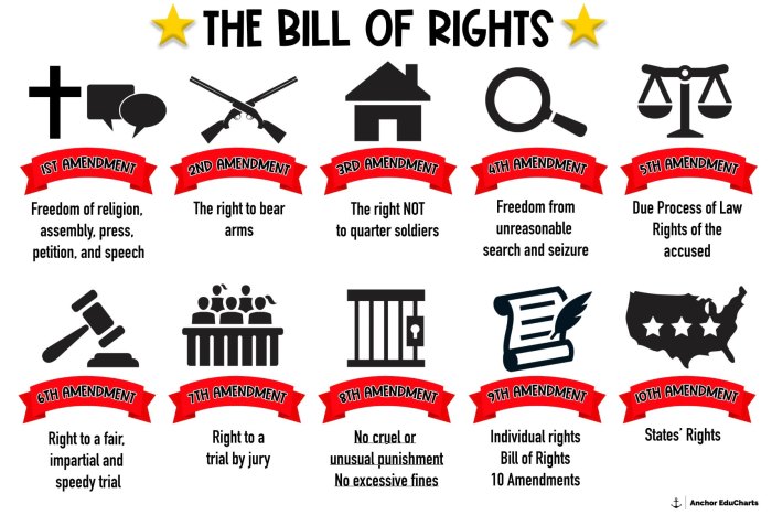 Bill of rights coloring book