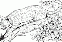 Free wild animals coloring pages