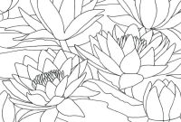 Claude monet coloring book