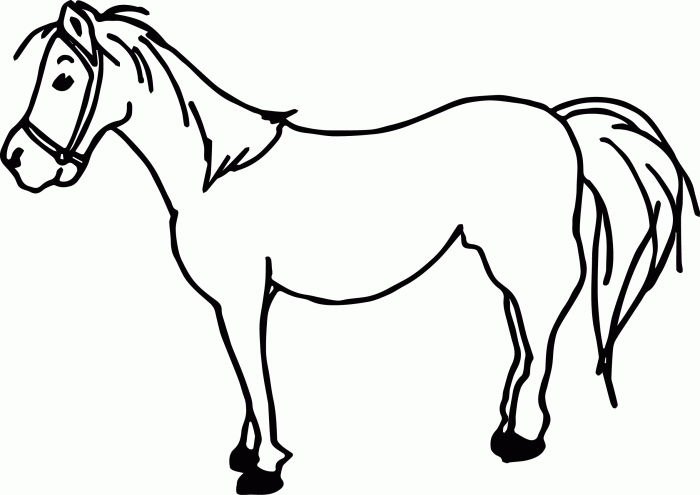 Horse anime coloring sheets for teens