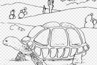 Desert habitat animals coloring pages