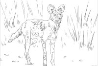 Realistic african animal coloring pages