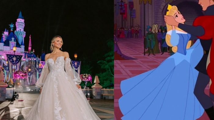 Disney princess cinderella wedding dress